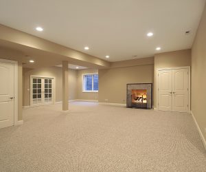 Basement with Fireplace